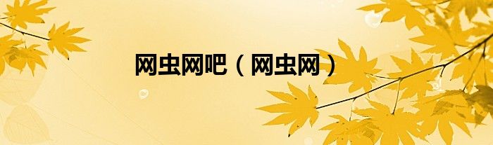 网虫网吧（网虫网）