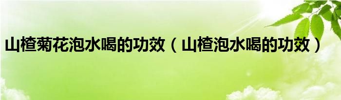 山楂菊花泡水喝的功效（山楂泡水喝的功效）