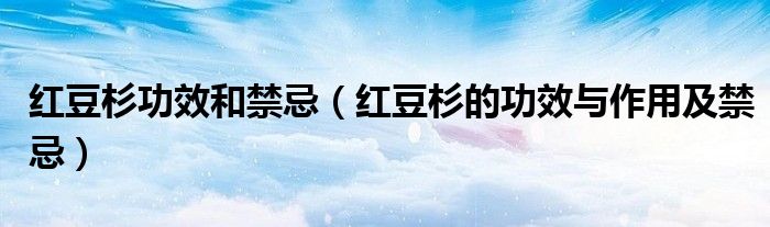 红豆杉功效和禁忌（红豆杉的功效与作用及禁忌）