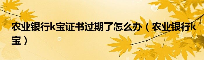 农业银行k宝证书过期了怎么办（农业银行k宝）