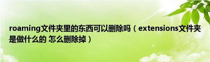 roaming文件夹里的东西可以删除吗（extensions文件夹是做什么的 怎么删除掉）