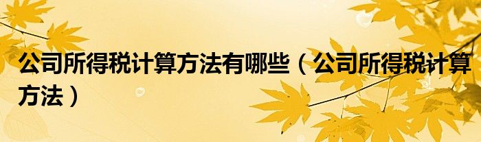 公司所得税计算方法有哪些（公司所得税计算方法）