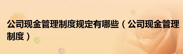 公司现金管理制度规定有哪些（公司现金管理制度）