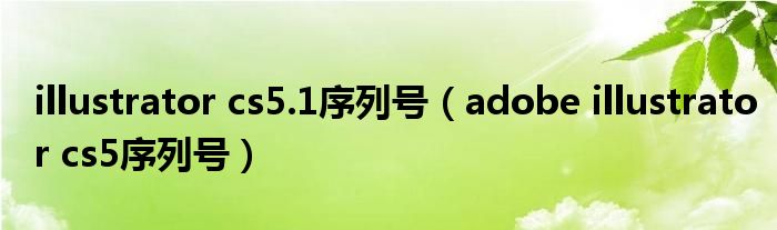 illustrator cs5.1序列号（adobe illustrator cs5序列号）