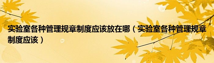 实验室各种管理规章制度应该放在哪（实验室各种管理规章制度应该）