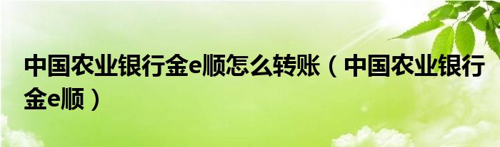 中国农业银行金e顺怎么转账（中国农业银行金e顺）