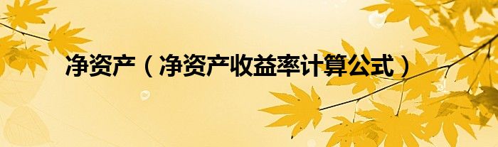 净资产（净资产收益率计算公式）