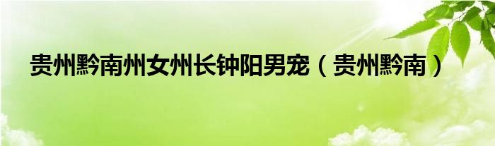 贵州黔南州女州长钟阳男宠（贵州黔南）