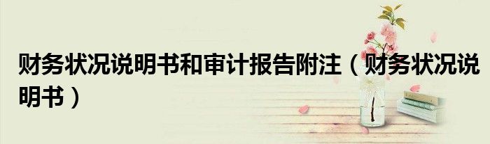 财务状况说明书和审计报告附注（财务状况说明书）