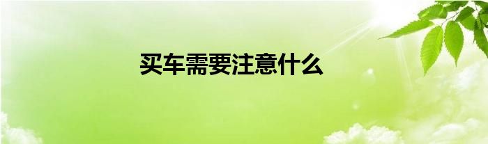 买车需要注意什么