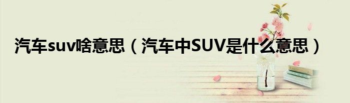 汽车suv啥意思（汽车中SUV是什么意思）