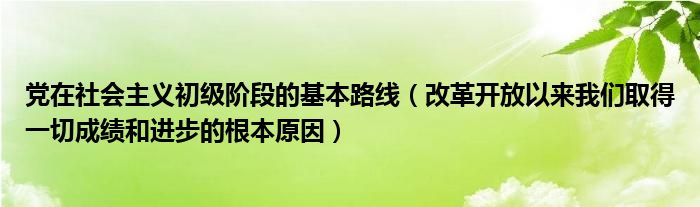 党在社会主义初级阶段的基本路线（改革开放以来我们取得一切成绩和进步的根本原因）
