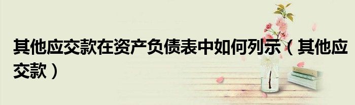 其他应交款在资产负债表中如何列示（其他应交款）
