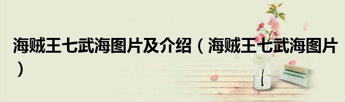 海贼王七武海图片及介绍（海贼王七武海图片）