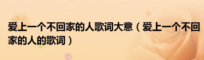 爱上一个不回家的人歌词大意（爱上一个不回家的人的歌词）