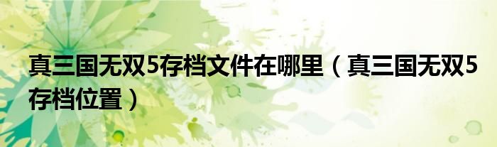 真三国无双5存档文件在哪里（真三国无双5存档位置）