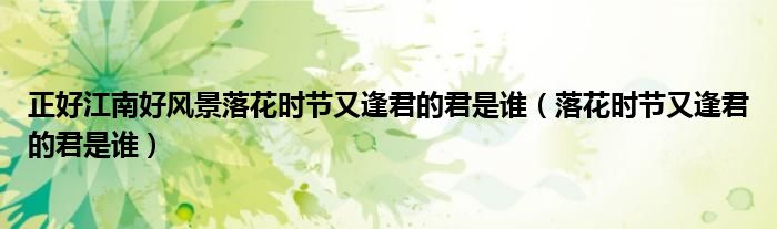 正好江南好风景落花时节又逢君的君是谁（落花时节又逢君的君是谁）