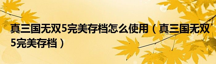 真三国无双5完美存档怎么使用（真三国无双5完美存档）