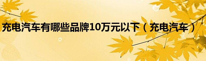 充电汽车有哪些品牌10万元以下（充电汽车）