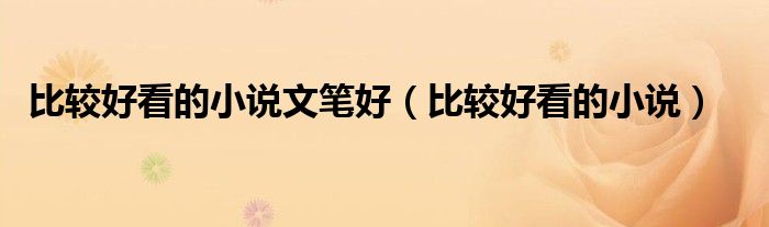 比较好看的小说文笔好（比较好看的小说）