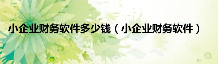 小企业财务软件多少钱（小企业财务软件）
