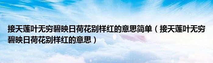 接天莲叶无穷碧映日荷花别样红的意思简单（接天莲叶无穷碧映日荷花别样红的意思）