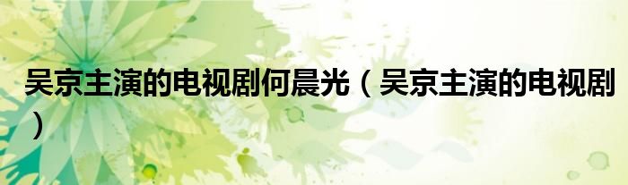 吴京主演的电视剧何晨光（吴京主演的电视剧）