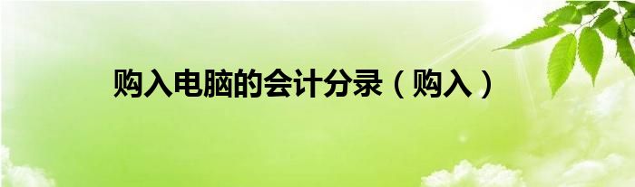 购入电脑的会计分录（购入）