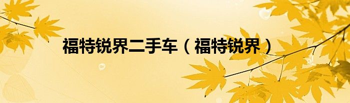 福特锐界二手车（福特锐界）