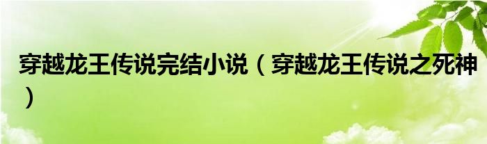 穿越龙王传说完结小说（穿越龙王传说之死神）