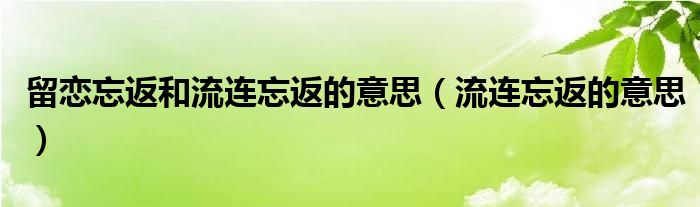 留恋忘返和流连忘返的意思（流连忘返的意思）