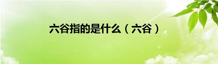 六谷指的是什么（六谷）