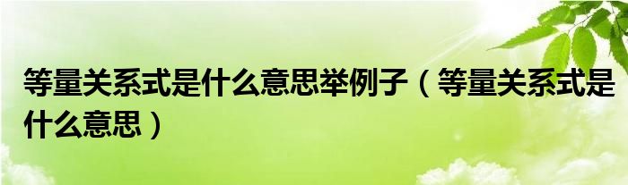 等量关系式是什么意思举例子（等量关系式是什么意思）