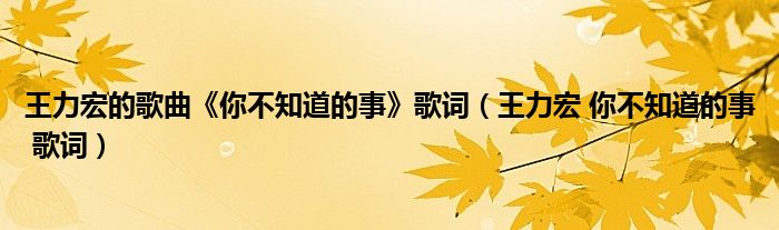 王力宏的歌曲《你不知道的事》歌词（王力宏 你不知道的事 歌词）