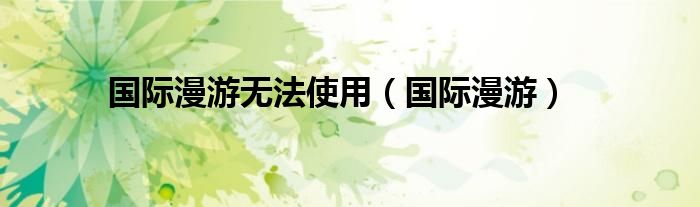 国际漫游无法使用（国际漫游）