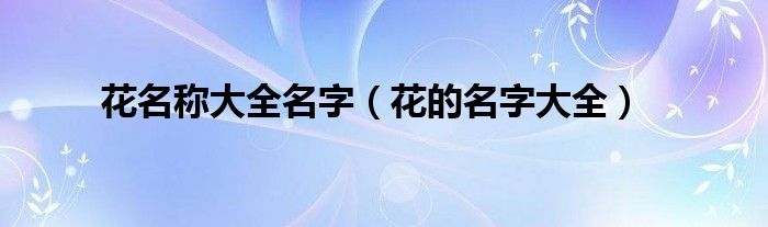 花名称大全名字（花的名字大全）