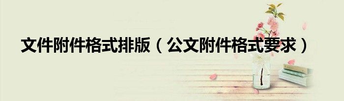 文件附件格式排版（公文附件格式要求）