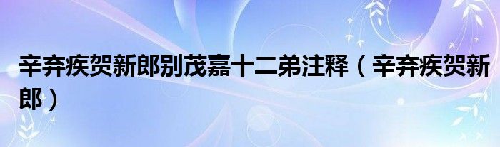 辛弃疾贺新郎别茂嘉十二弟注释（辛弃疾贺新郎）