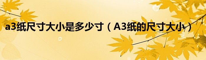 a3纸尺寸大小是多少寸（A3纸的尺寸大小）