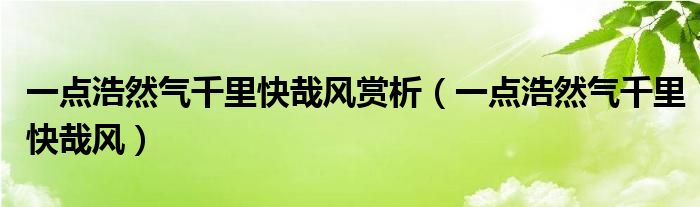 一点浩然气千里快哉风赏析（一点浩然气千里快哉风）