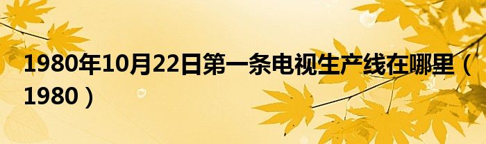 1980年10月22日第一条电视生产线在哪里（1980）
