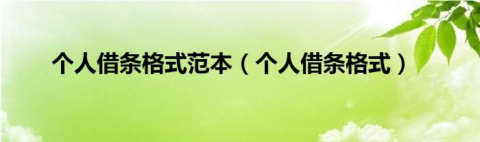 个人借条格式范本（个人借条格式）
