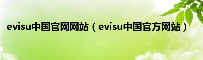 evisu中国官网网站（evisu中国官方网站）