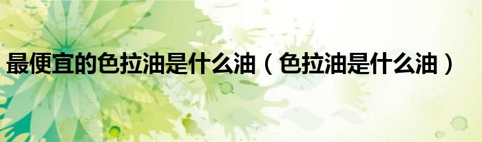 最便宜的色拉油是什么油（色拉油是什么油）