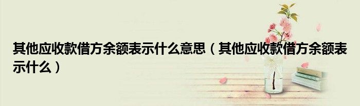其他应收款借方余额表示什么意思（其他应收款借方余额表示什么）