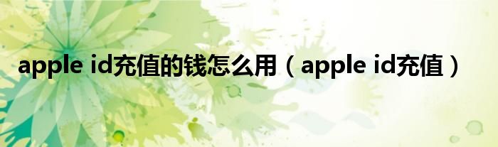 apple id充值的钱怎么用（apple id充值）