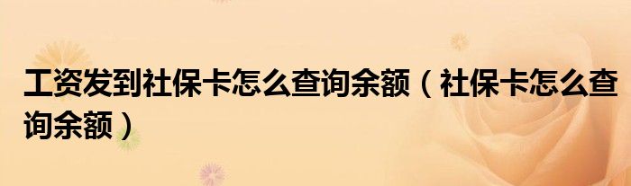 工资发到社保卡怎么查询余额（社保卡怎么查询余额）