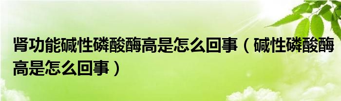 肾功能碱性磷酸酶高是怎么回事（碱性磷酸酶高是怎么回事）