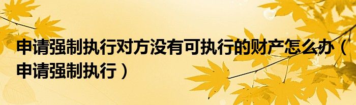 申请强制执行对方没有可执行的财产怎么办（申请强制执行）