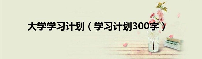 大学学习计划（学习计划300字）